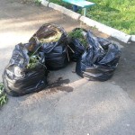 Мешки с мусором вывезли на свалку